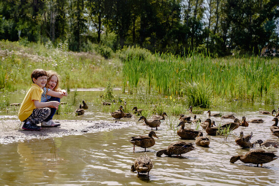 Children feeding ducks abandoned lake